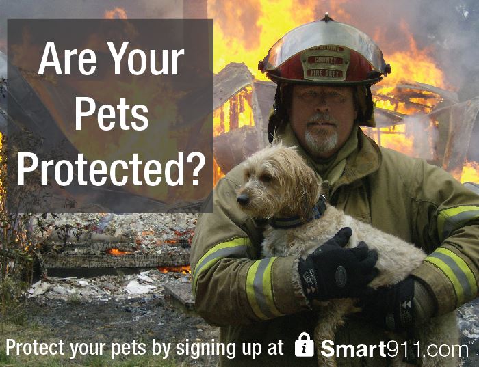 Smart911_Pet_Graphic