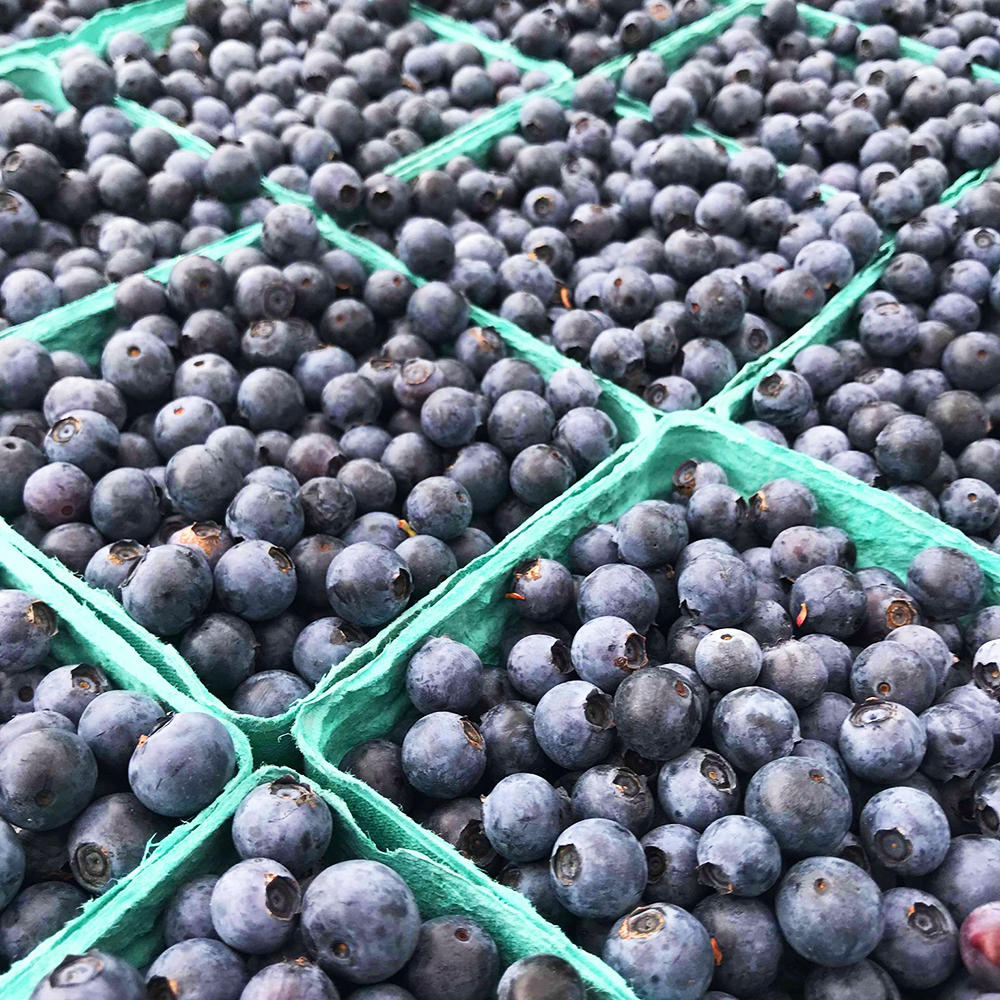 2 farmers-market-blueberries