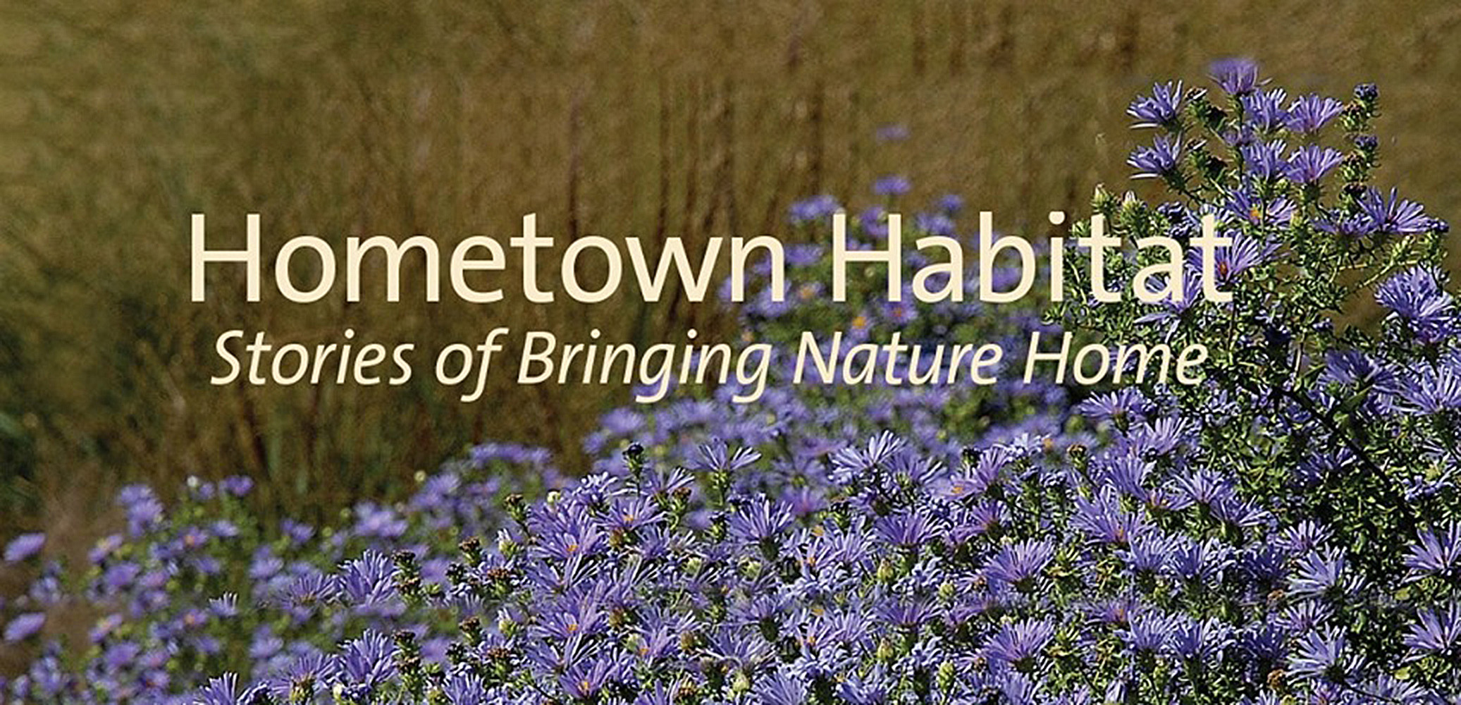 4 hometown-habitat